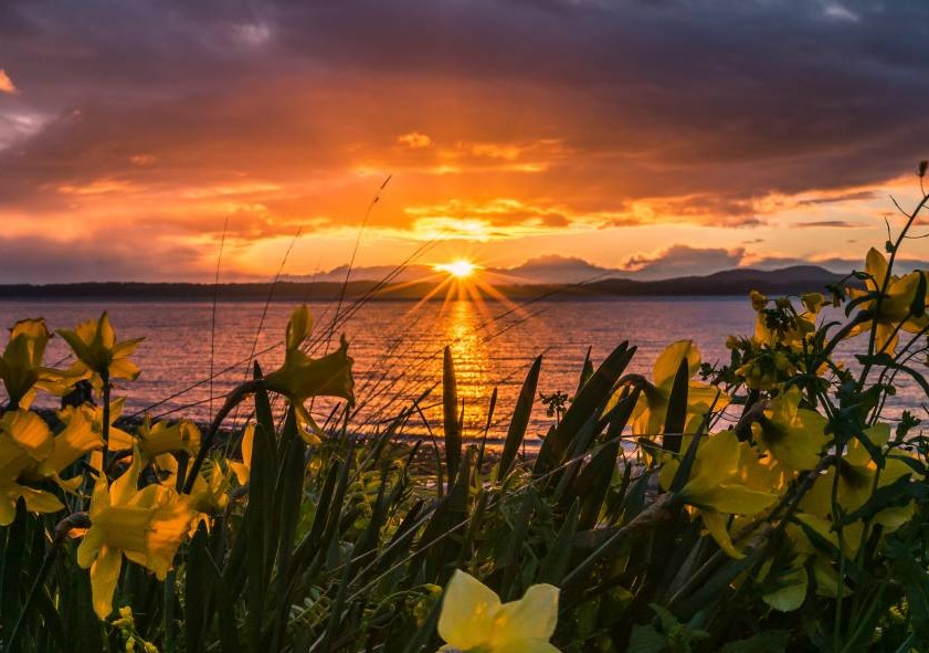 Sunset San Juan Islands